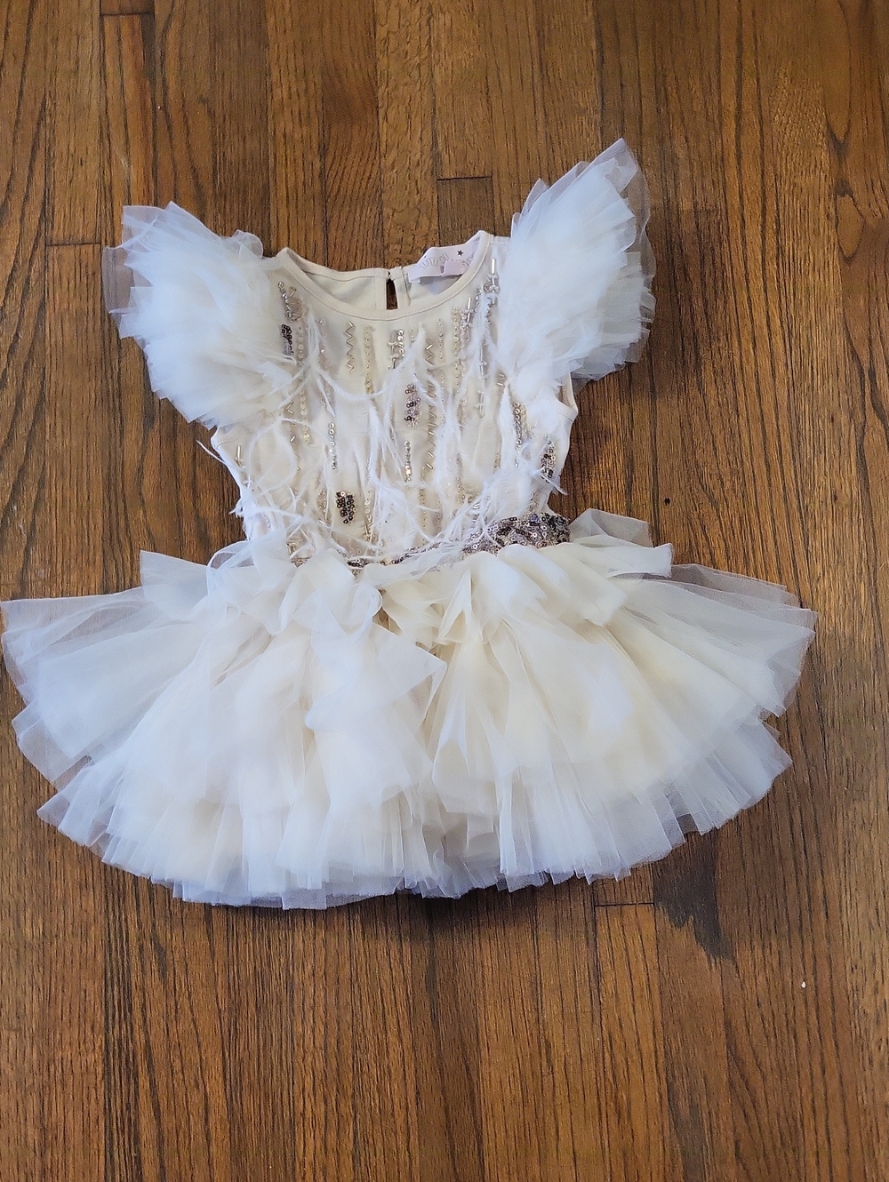 Tutu Du Monde Ivory Layered Tulle  Dress